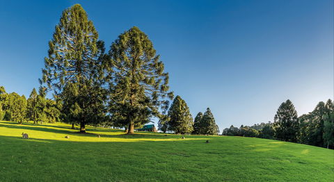 National Parks And Artisan Stories - New South Wales Tourism  0