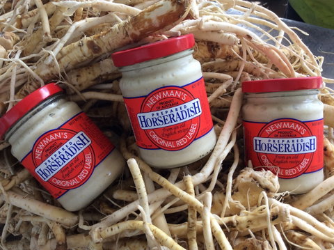 Newman's Horseradish Farm And Rusticana Wines - New South Wales Tourism  0