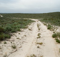 Ngarkat Conservation Park - New South Wales Tourism 