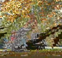 Noreuil Park - New South Wales Tourism 