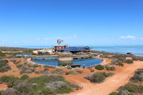 Ocean Park Aquarium - New South Wales Tourism  1