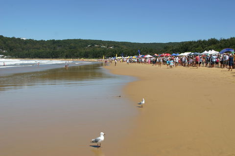 Ocean Beach Umina - New South Wales Tourism  0