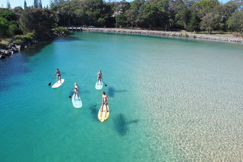 Paddleboard At Back Creek South West Rocks - New South Wales Tourism  0