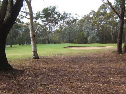 Pambula Merimbula Golf Club - New South Wales Tourism  2