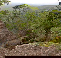 Pigeon House Mountain Didthul Walking Track - New South Wales Tourism 