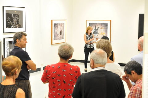 Pine Rivers Art Gallery - New South Wales Tourism  1