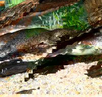 Platypus House - New South Wales Tourism 