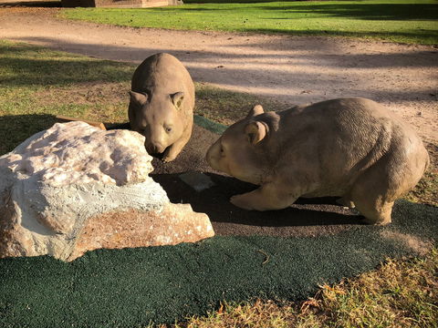 Queen Square, Moonta - New South Wales Tourism  1