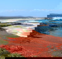 Red Cliff - New South Wales Tourism 