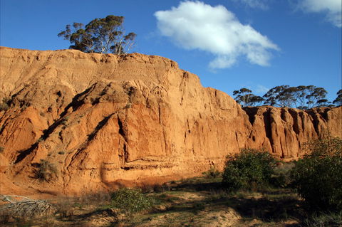 Red Banks Conservation Park - New South Wales Tourism  0