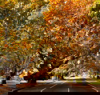 Richmond - New South Wales Tourism 