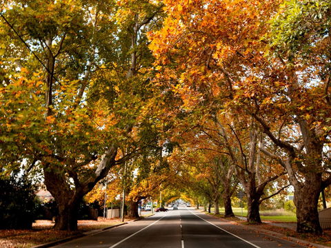 Richmond - New South Wales Tourism  0