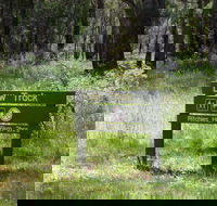 Ritchie's Hut - New South Wales Tourism 