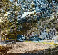 River Walk Boonoo Boonoo National Park - New South Wales Tourism 