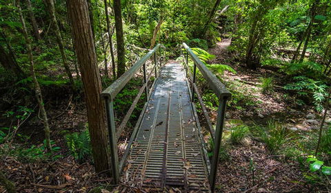 Rocky Crossing Walk - New South Wales Tourism  0