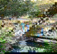 Rockhampton Botanic Gardens - New South Wales Tourism 