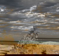 Rosebud Beach - New South Wales Tourism 