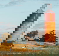 Rutherglen Wine Bottle - New South Wales Tourism 