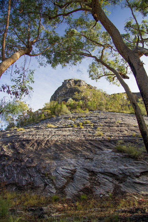 Salvator Rosa, Carnarvon National Park - New South Wales Tourism  1