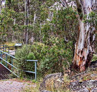 Sawpit Walking Track - New South Wales Tourism 