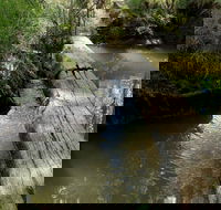 Second Ponds Creek Walk - New South Wales Tourism 