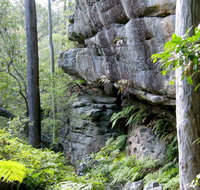 She-Oak Crossing Walk