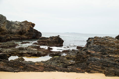 Snorkelling Mystery Bay - New South Wales Tourism  1