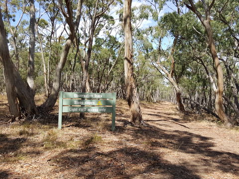Spring Gully Conservation Park - New South Wales Tourism  2