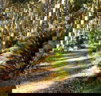 Square Head Track 2 - New South Wales Tourism 