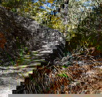 Starlights Trail - New South Wales Tourism 