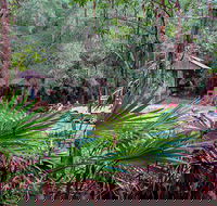 Sugar Creek Picnic Area - New South Wales Tourism 
