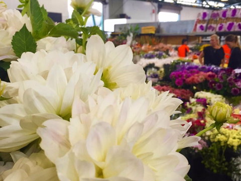 Sydney Flower Market - New South Wales Tourism  1
