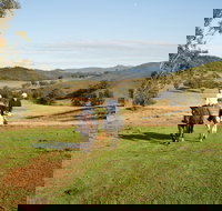 Tamworth and Kootingal Horse Riding Adventures - New South Wales Tourism 