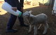 Taralga Wildlife Park - thumb 0