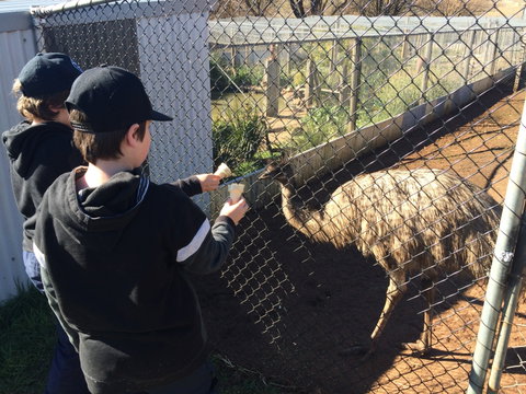 Taralga Wildlife Park - New South Wales Tourism  2