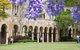 The University Of Queensland - thumb 0