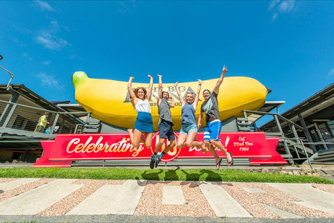 The Big Banana Fun Park - New South Wales Tourism  0
