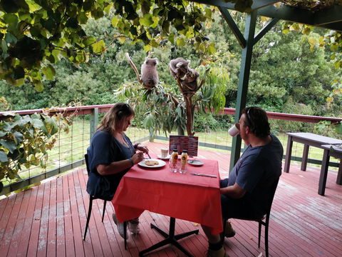 The Aussie Stop Offering Breakfast With Koalas - New South Wales Tourism  0