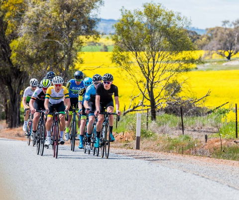 The Heron's Highway - Avon River Cycle Trail - New South Wales Tourism  0
