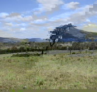 Thornton - New South Wales Tourism 