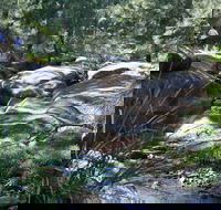 Towarri National Park - New South Wales Tourism 