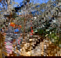 Trees Adventure - Yanchep Park - New South Wales Tourism 