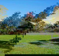 Tunks Hill picnic area - New South Wales Tourism 