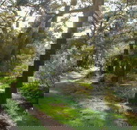 Turon National Park - New South Wales Tourism 