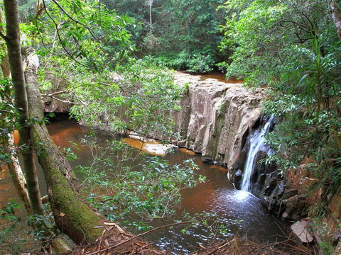 Waitui Falls - New South Wales Tourism  0