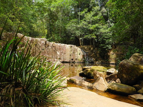 Waitui Falls - New South Wales Tourism  1
