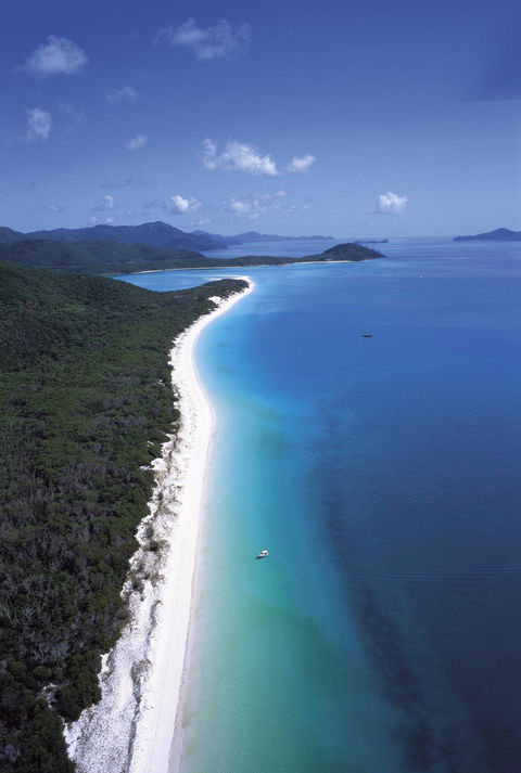 Whitehaven Beach - New South Wales Tourism  2