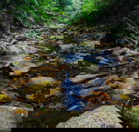 Willi Willi - New South Wales Tourism 