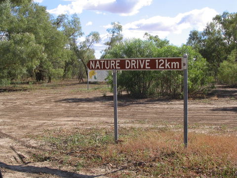 Windorah Nature Drive - New South Wales Tourism  0
