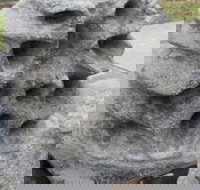 Windara Reef - New South Wales Tourism 